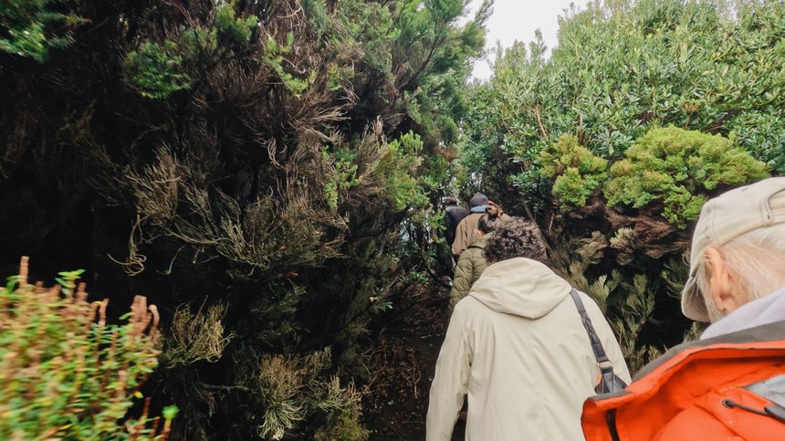 FERNANDO MOTA_Oficina de Som_06