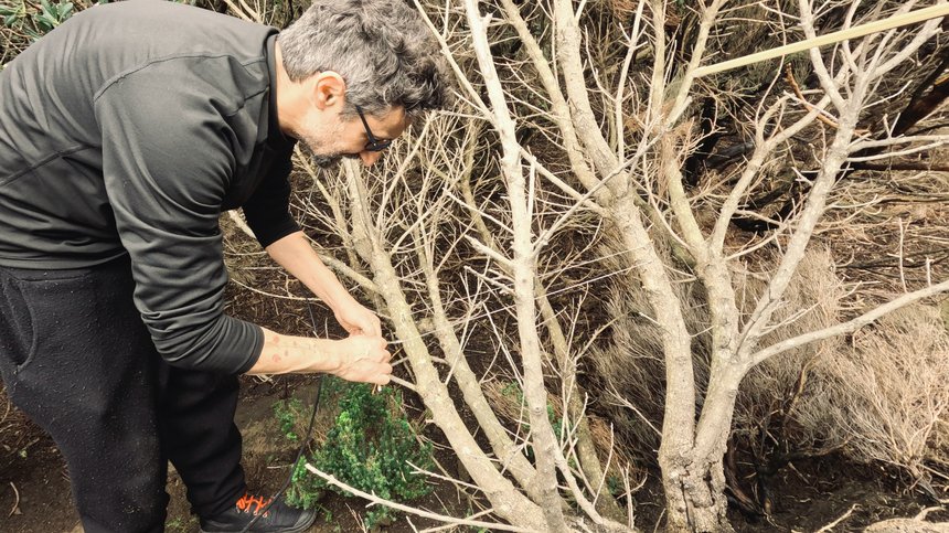 FERNANDO MOTA_Oficina de Som_28