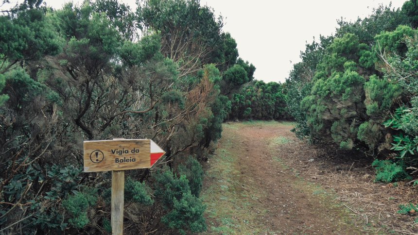 caminho