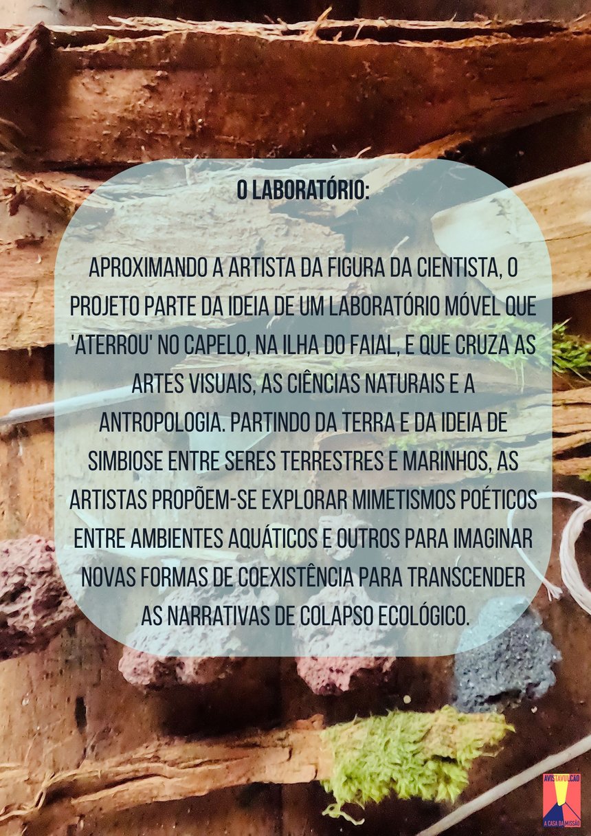 cartaz thalasso pagina 2